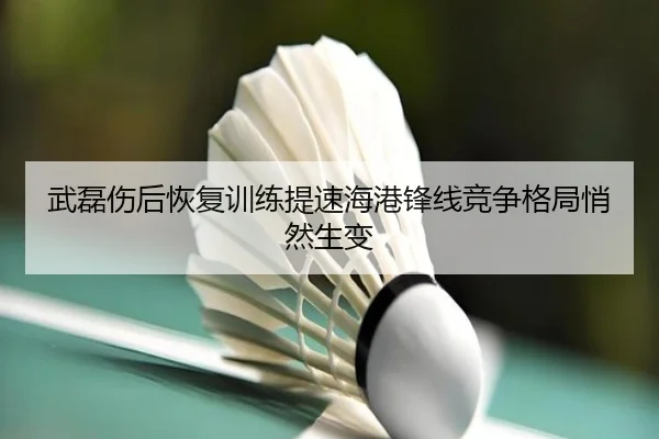 武磊伤后恢复训练提速海港锋线竞争格局悄然生变